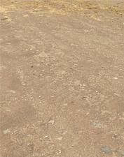 MLS #SR25085426 image #0