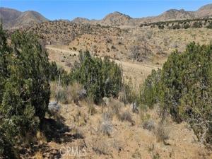 MLS #SR25093035 image #0
