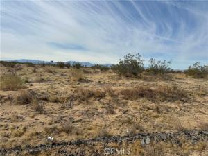 MLS #SR25101110 image #0