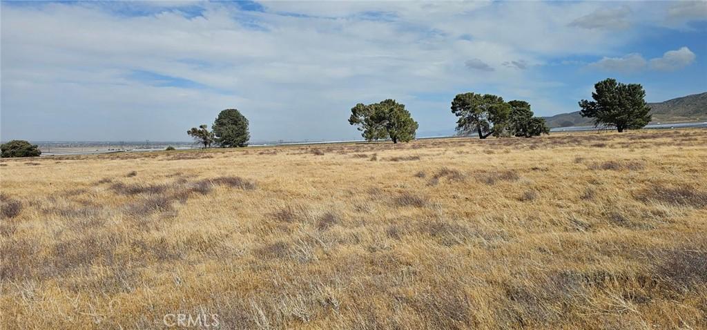 MLS #SR25103849 image #0