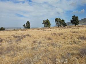 MLS #SR25103849 image #0
