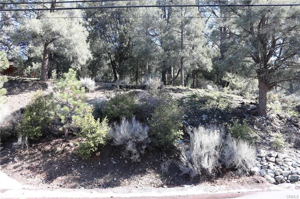 MLS #SR25110102 image #0