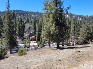 MLS #SR25112431 image #0