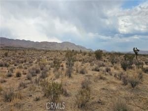 MLS #SR25127065 image #0