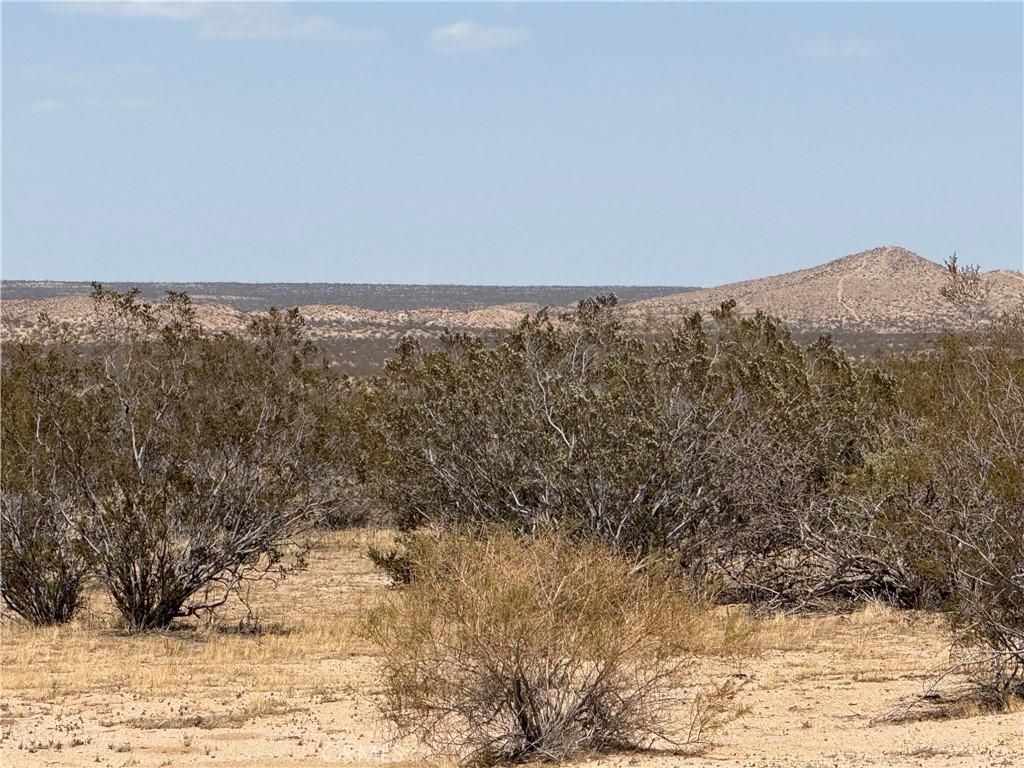 MLS #SR25142742 image #0