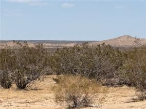 MLS #SR25143026 image #0