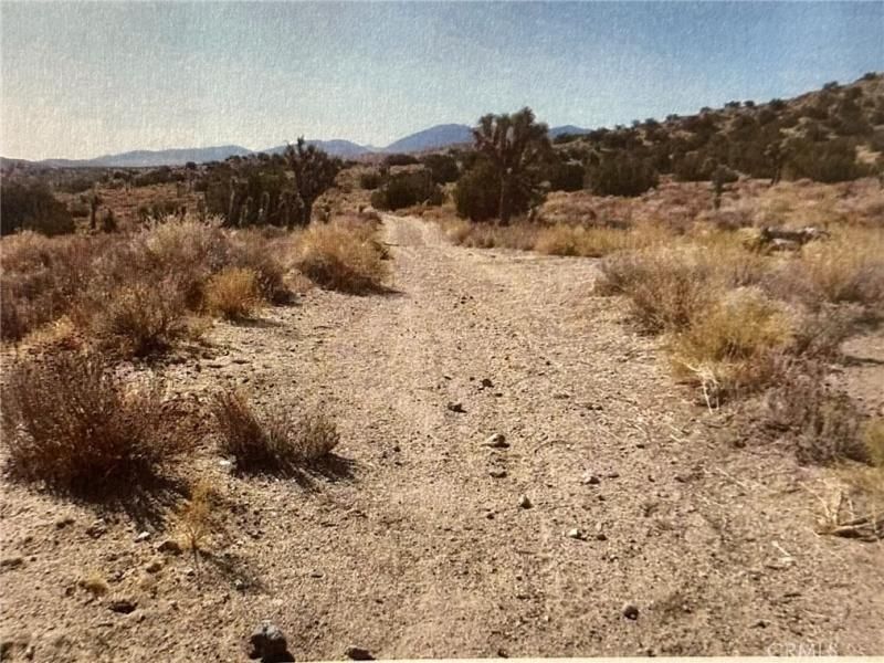 MLS #SR25143538 image #0