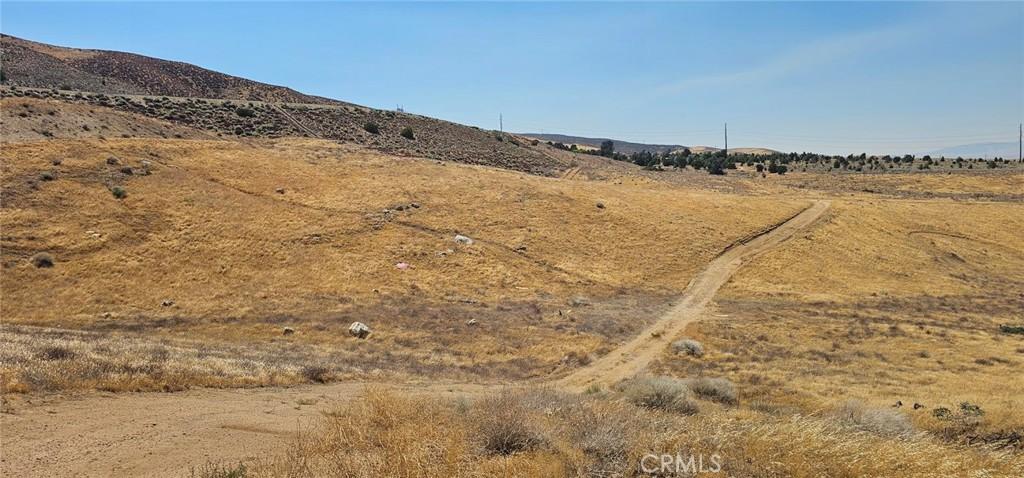 MLS #SR25146340 image #0