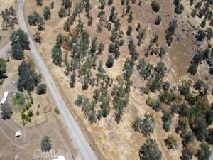 MLS #SR25155384 image #0