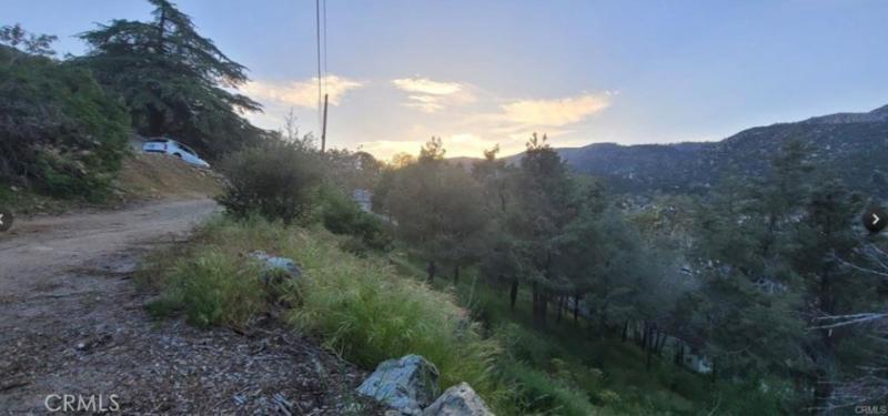 MLS #SR25157035 image #0