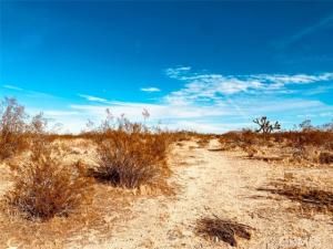 MLS #SR25161101 image #0