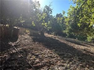 MLS #SR25161271 image #0