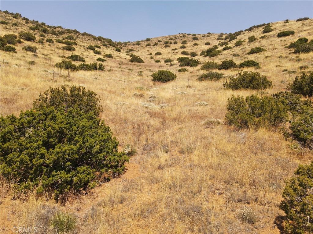 Valleysage RD Lot 19 Agua Dulce CA 91350 | MLS #SR25168982 41 MLS #SR25168982 image #0