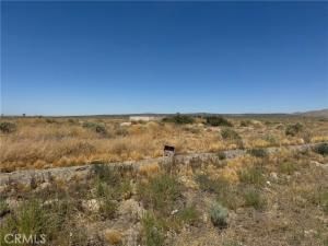 MLS #SR25178398 image #0