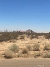 MLS #SR25178922 image #0