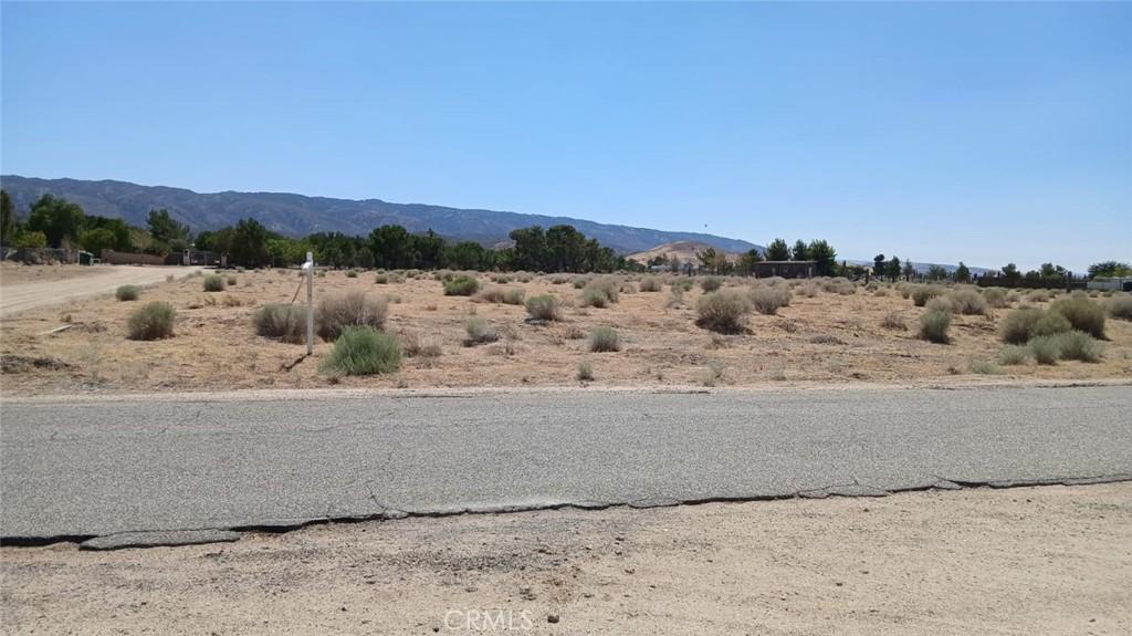 MLS #SR25180619 image #0