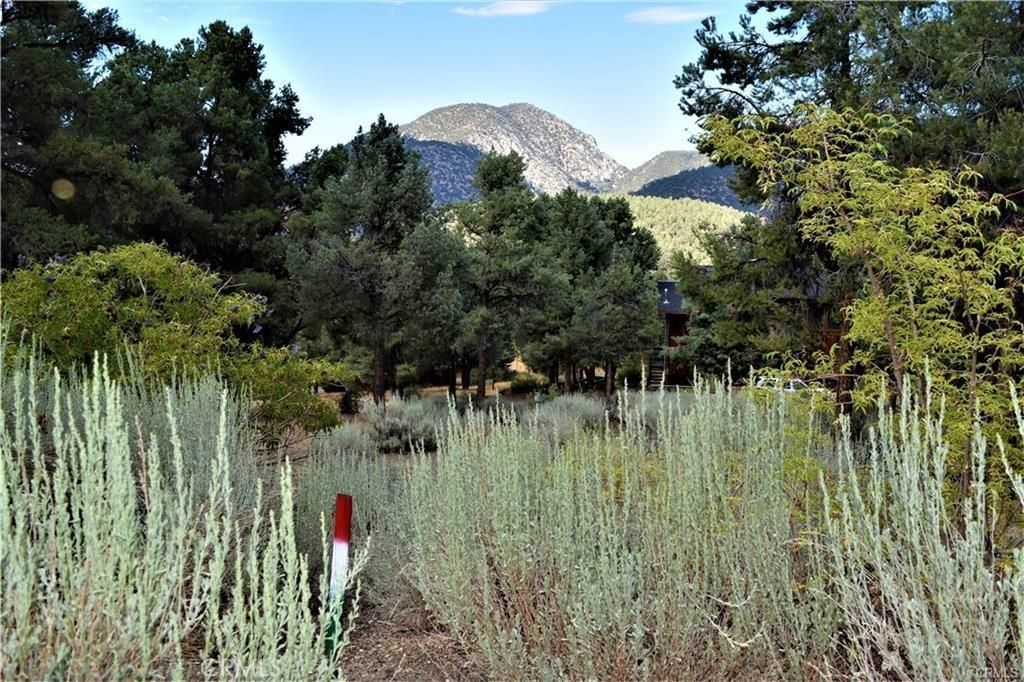 MLS #SR25182258 image #0