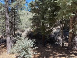 MLS #SR25187857 image #0