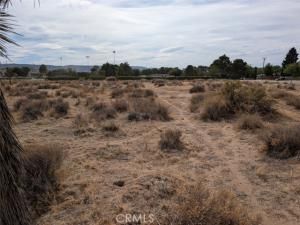 MLS #SR25190371 image #0