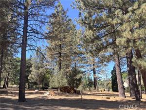 MLS #SR25192605 image #0