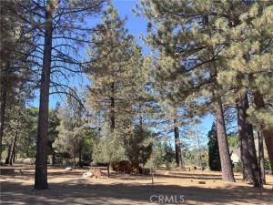 MLS #SR25192605 image #0