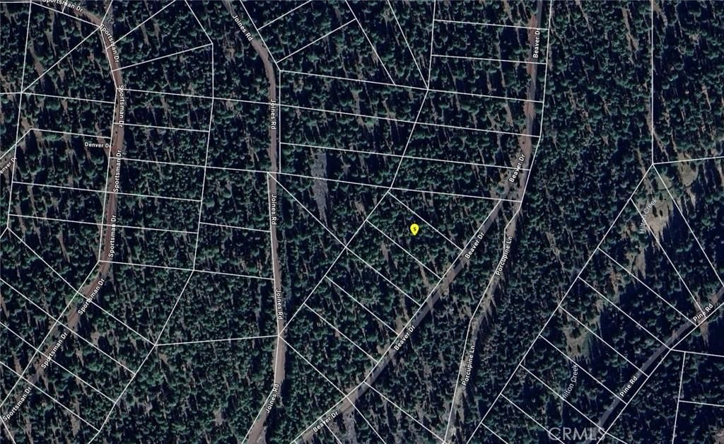 MLS #SR25195693 image #0