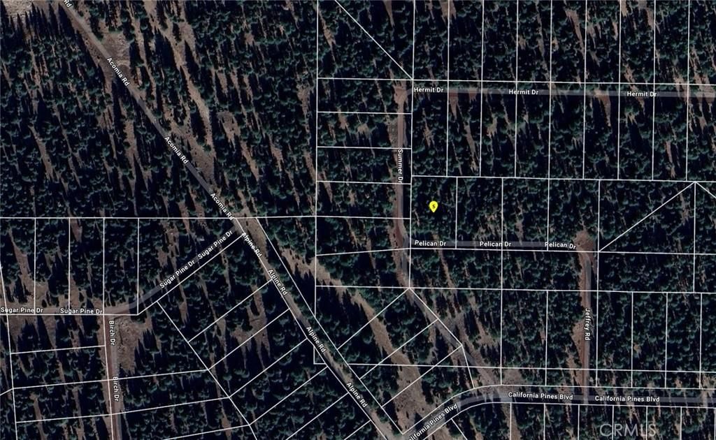 Pelican Lot 23 Alturas CA 96101 | MLS #SR25195716 17 MLS #SR25195716 image #0