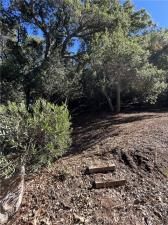 MLS #SR25196138 image #0