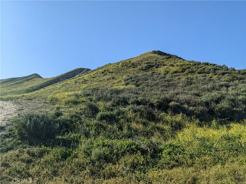 MLS #SR25214997 image #0