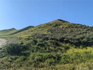 MLS #SR25214997 image #0