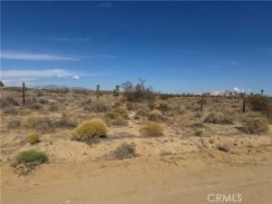 MLS #SR25218720 image #0