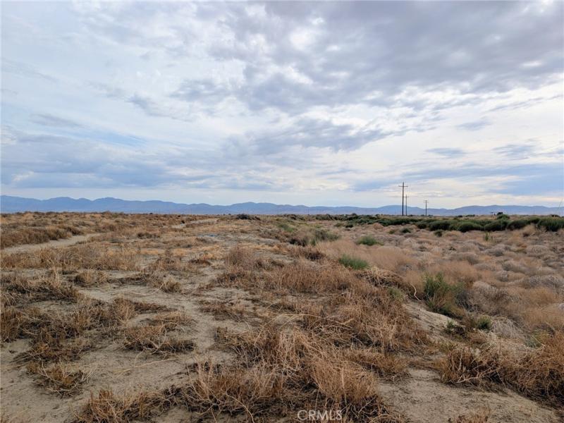 MLS #SR25219274 image #0