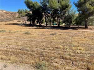 MLS #SR25221123 image #0