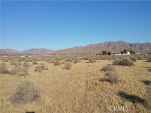 MLS #SR25221901 image #0