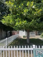 MLS #SR25222102 image #0