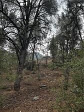 MLS #SR25225072 image #0