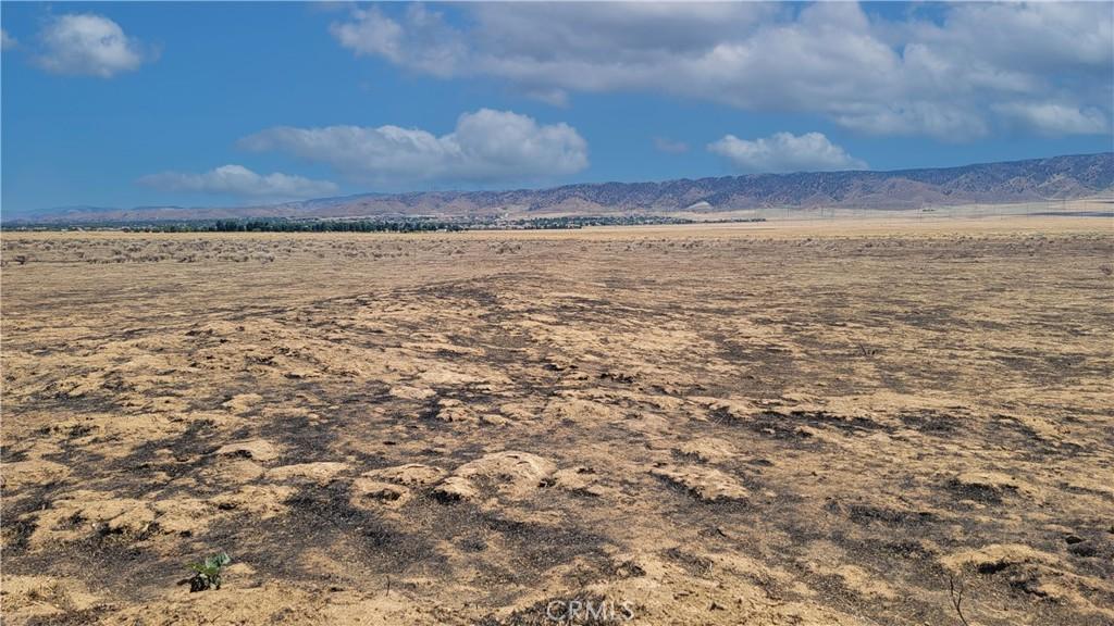 MLS #SR25230439 image #0