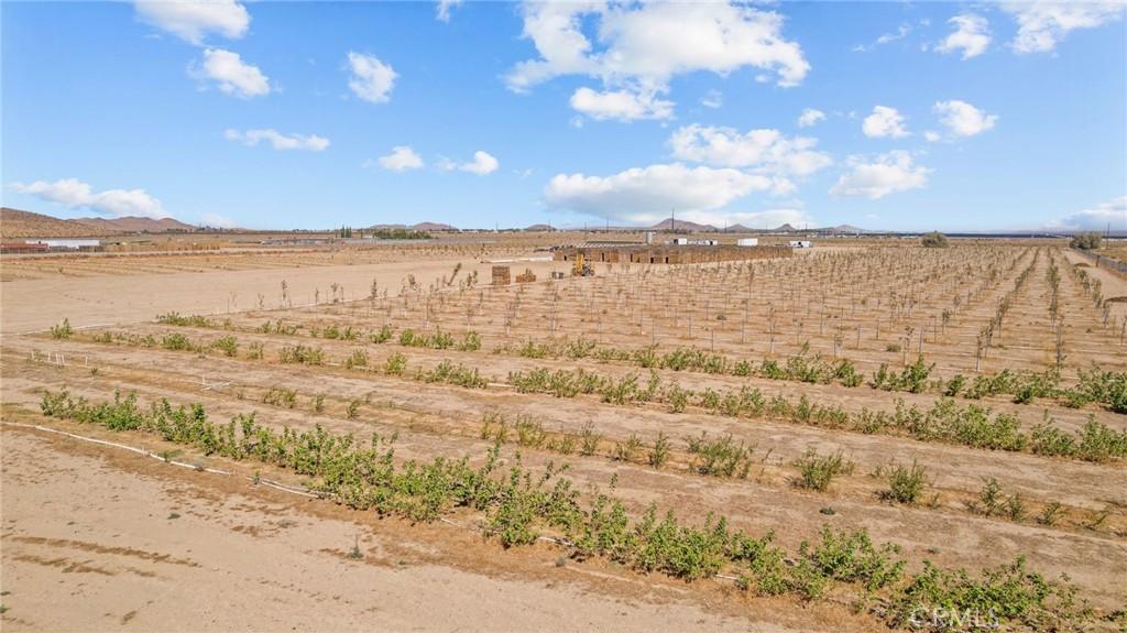 MLS #SR25232873 image #0