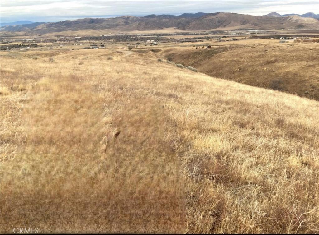 MLS #SR25234132 image #0