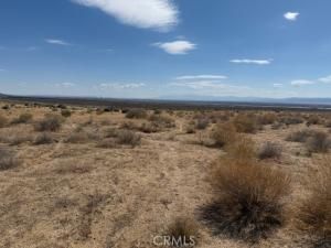 MLS #SR25234880 image #0