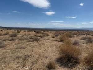 MLS #SR25234880 image #0