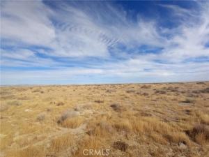 MLS #SR25242088 image #0