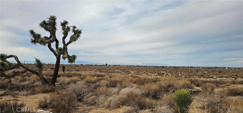 MLS #SR25244226 image #0