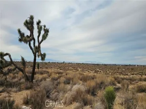 broker reciprocity