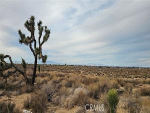 MLS #SR25244226 image #0