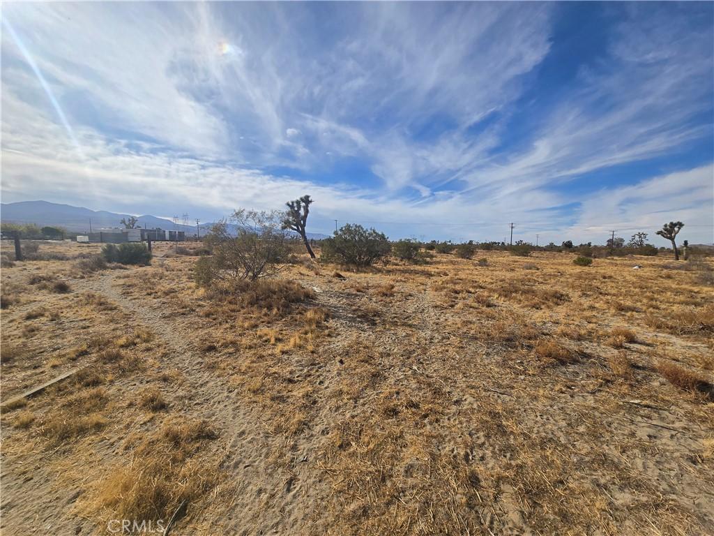 MLS #SR25244252 image #0