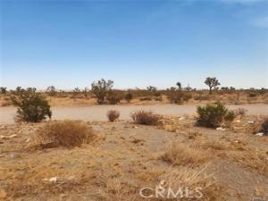 MLS #SR25244690 image #0