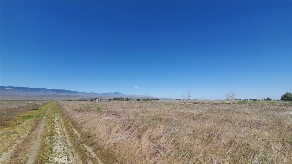 MLS #SR25250845 image #0