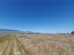 MLS #SR25250845 image #0