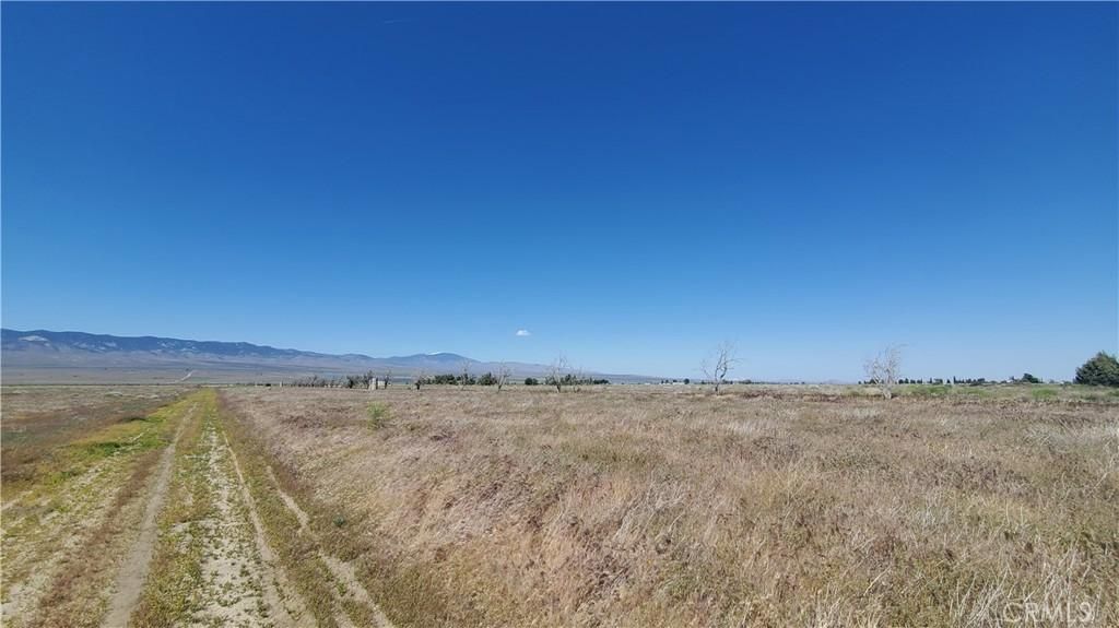 MLS #SR25250845 image #0